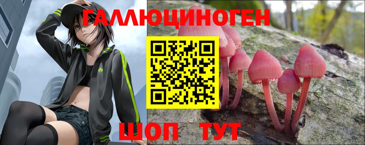Галлюциногенные грибы мицелий  Галлюциногенные грибы Cubensis  Вход с VPN  Ипатово 